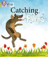 Catching Flies di June Crebbin edito da HarperCollins Publishers