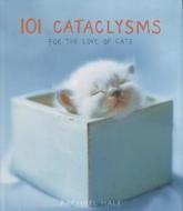 101 Cataclysms di Rachael Hale edito da Little, Brown & Company