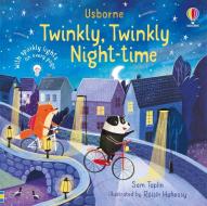 Twinkly Twinkly Night Time di Sam Taplin edito da Usborne Publishing Ltd