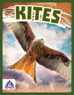 Kites di Connor Stratton edito da APEX WEA INTL