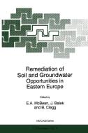 Remediation of Soil and Groundwater Opportunities in Eastern Europe edito da SPRINGER NATURE