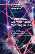 Pragmatics, Grammar and Meaning in Sla di Aoife K Ahern, José Amenós-Pons, Pedro Guijarro-Fuentes edito da Cambridge University Press