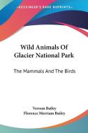 Wild Animals Of Glacier National Park: The Mammals And The Birds di Vernon Bailey, Florence Merriam Bailey edito da Kessinger Publishing, Llc