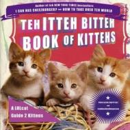 Teh Itteh Bitteh Book Of Kittehs di Professor Happycat edito da Summersdale Publishers