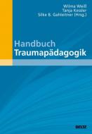 Handbuch Traumapädagogik edito da Beltz GmbH, Julius