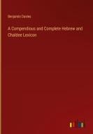 A Compendious and Complete Hebrew and Chaldee Lexicon di Benjamin Davies edito da Outlook Verlag