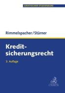 Kreditsicherungsrecht di Bruno Rimmelspacher, Michael Stürner edito da Beck C. H.