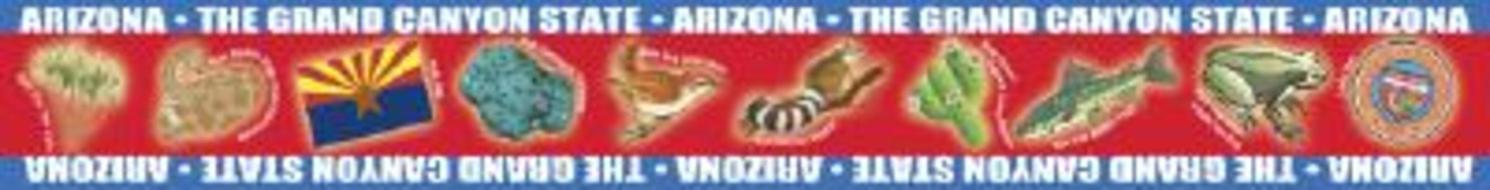 Arizona Borders for Bulletin Boards edito da Gallopade International