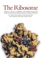 The Ribosome: Structure, Function, Antibiotics, and Cellular Interactions di Anders Liljas edito da ASM PR