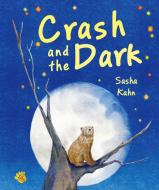 Crash and the Dark di Sasha Kahn edito da Starfish Bay Publishing