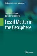 Fossil Matter in the Geosphere di Branimir Jovancicevic, Jan Schwarzbauer edito da Springer International Publishing