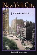 New York City di George J. Lankevich edito da New York University Press