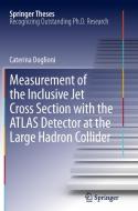 Measurement of the Inclusive Jet Cross Section with the ATLAS Detector at the Large Hadron Collider di Caterina Doglioni edito da Springer Berlin Heidelberg