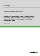 The Right To Fair Trial Under Article 6 Of The European Convention On Human Rights In Immigration Law Cases In Germany, The Netherlands, Belgium, The  di Stefan Kirchner edito da Grin Publishing