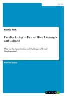 Families Living in Two or More Languages and Cultures di Andrea Roth edito da GRIN Verlag