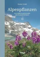 Alpenpflanzen di Norbert Griebl edito da Freya Verlag