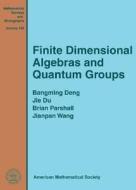 Finite Dimensional Algebras And Quantum Groups edito da American Mathematical Society