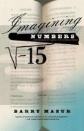 Imagining Numbers di Barry Mazur edito da St. Martins Press-3PL