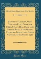 Report on Glacier, Wind Cave, and Platt National Parks, Sullys Hill Park, Casa Grande Ruin, Muir Woods, Petrified Forest, and Other National Monuments di United States Department of Th Interior edito da Forgotten Books