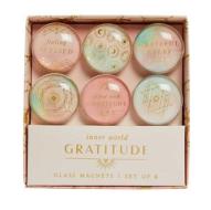 Gratitude: Glass Magnet Set (set Of 6) di Insight Editions edito da Insight Editions