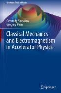 Classical Mechanics and Electromagnetism in Accelerator Physics di Gennady Stupakov, Gregory Penn edito da Springer-Verlag GmbH