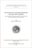 Plastizität und Erneuerung im adulten Gehirn di Herbert Zimmermann edito da Steiner Franz Verlag
