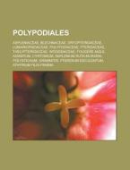 Polypodiales: Hymenophyllum, Foug Re Aig di Livres Groupe edito da Books LLC, Wiki Series