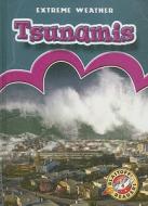 Tsunamis di Anne Wendorff edito da BELLWETHER MEDIA