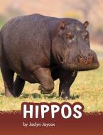Hippos di Jaclyn Jaycox edito da PEBBLE BOOKS