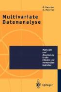Multivariate Datenanalyse: Methodik Und Anwendung in Der Chemie Und Verwandten Gebieten di Rene Henrion, Gunter Henrion edito da Springer
