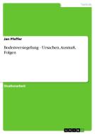 Bodenversiegelung. Ursachen, Ausma , Folgen di Jan Pfeffer edito da Grin Verlag Gmbh