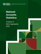 National Accounts Statistics di United Nations Department of Economic and Social Affairs edito da United Nations
