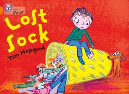 The Lost Sock di Tim Hopgood edito da HarperCollins Publishers