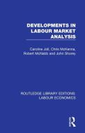 Developments In Labour Market Analysis di Caroline Joll, Chris McKenna, Robert McNabb, John Shorey edito da Taylor & Francis Ltd