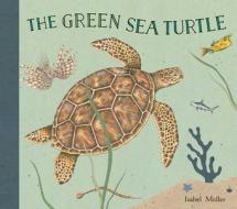 The Green Sea Turtle di Isabel Muller edito da NORTHSOUTH BOOKS
