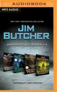 Jim Butcher: Dresden Files, Books 1-4: Storm Front, Fool Moon, Grave Peril, Summer Knight di Jim Butcher edito da Buzzy Multimedia on Brilliance Audio