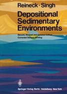 Depositional Sedimentary Environments di H. -E. Reineck, I. B. Singh edito da Springer Berlin Heidelberg