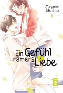 Ein Gefühl namens Liebe 06 di Megumi Morino edito da Egmont Manga