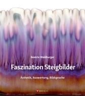 Faszination Steigbilder di Beatrix Waldburger edito da Info 3 Verlag