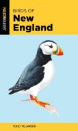 Birds Of New England 2nd Editipb di Todd Telander edito da Rowman & Littlefield
