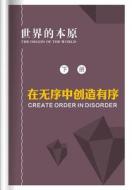 Create Order in Disorder di Bing Xu edito da Createspace