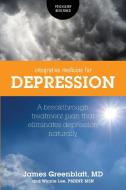 Integrative Medicine for Depression di James Greenblatt, Winnie Lee edito da FriesenPress