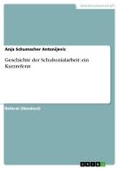 Geschichte Der Schulsozialarbeit di Anja Schumacher Antonijevic edito da Grin Publishing