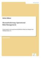 Herausforderung Operational Risk-management di Stefan Hubner edito da Diplom.de