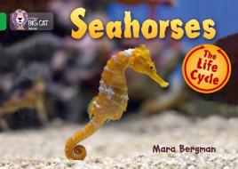 Seahorses di Mara Bergman edito da HarperCollins Publishers