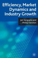 Efficiency, Market Dynamics and Industry Growth di J. K. Sengupta, P. Fanchon edito da SPRINGER NATURE