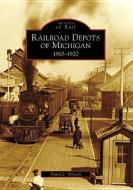 Railroad Depots of Michigan: 1910-1920 di David J. Mrozek edito da ARCADIA PUB (SC)