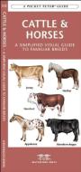 Cattle and Horses: A Field Guide to Familiar Breeds di James Kavanagh edito da WATERFORD PR
