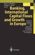 Banking, International Capital Flows and Growth in Europe edito da Springer Berlin Heidelberg