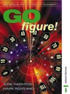 Application Of Number - Go Figure! di June Haighton, Mark Rowland edito da Nelson Thornes Ltd